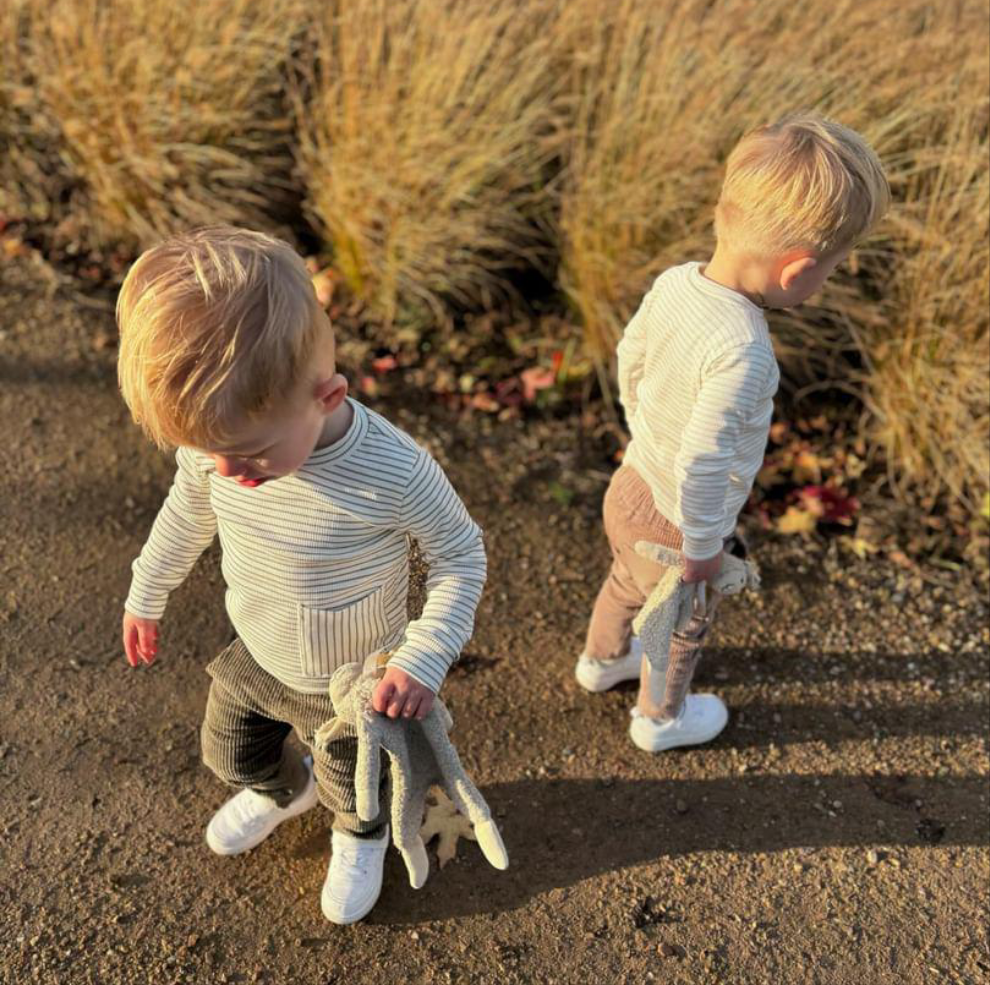 Longsleeve Lucas gestreept