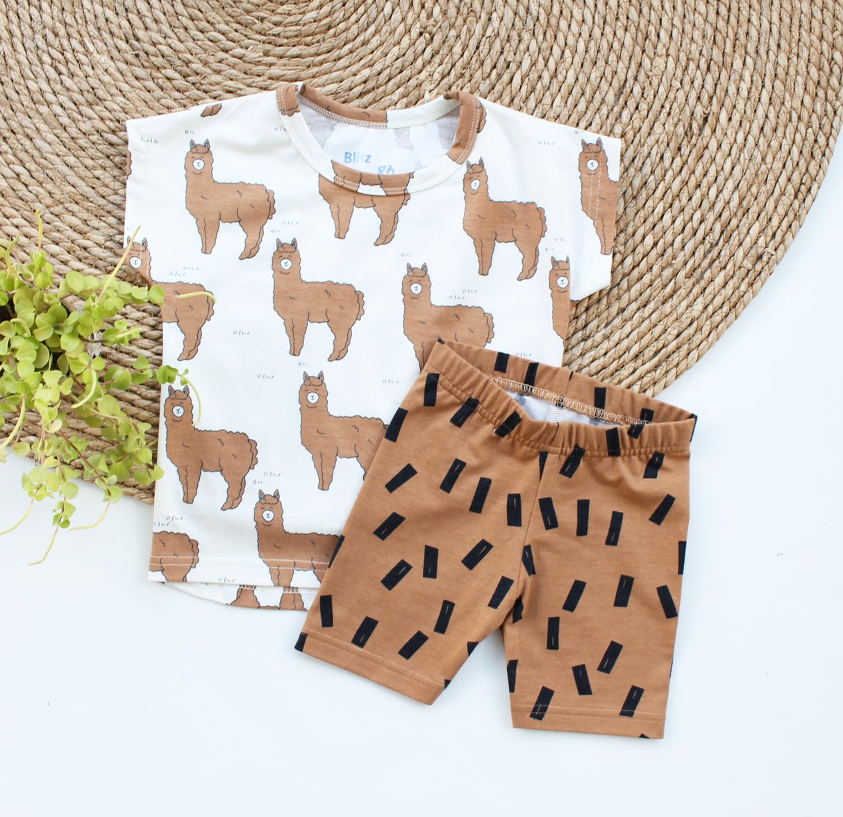 Short Nola hippe print