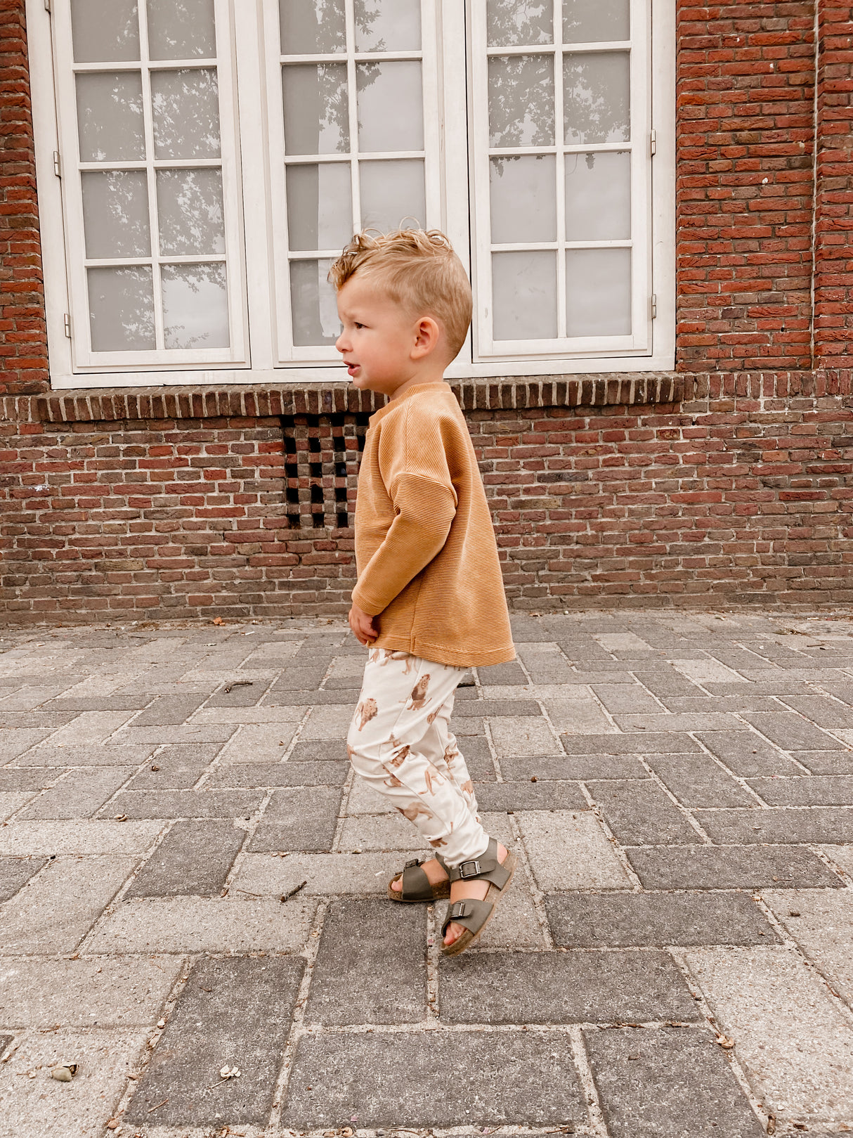 Loose fit longsleeve Nora grove rib