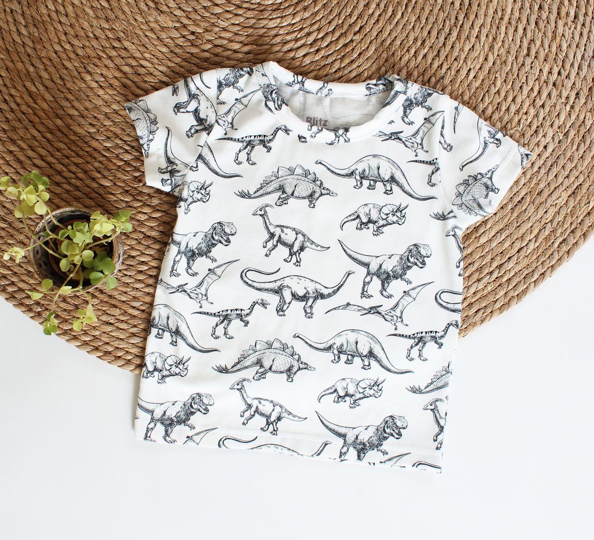 Basic T-shirt Sam in dierenprint naar keuze